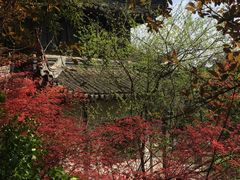 -木子山庄·安徽省老字号·中国炖锅宴