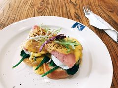 班尼迪克-JamaicaBlue(新城国际店)