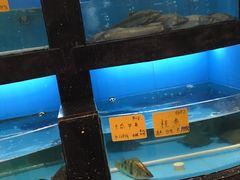 -苏浙徽·农家大院(开发区星湖101店)