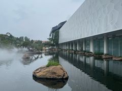 -罗红摄影艺术馆