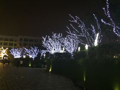 -胡桃里音乐酒馆(环亚凯瑟琳广场店)
