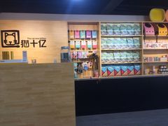 -猫十亿·布偶金渐层·曼基康矮脚猫舍(青年路店)