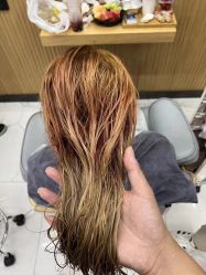 -T8 SALON