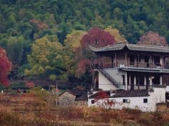 -塔川景区