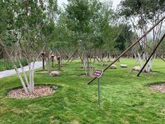 -回龙观体育文化公园