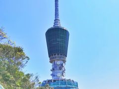 -梧桐山风景名胜区