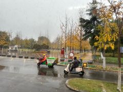 -桃花岛公园