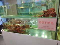 水产区-东国海鲜火锅城(氹仔店)