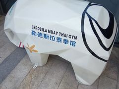 -花环泰拳·勒德斯拉泰拳馆(静安店)
