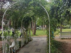 -双榆树公园