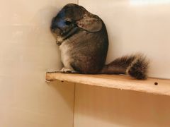 -龙猫仔乐园(惠福东路店)