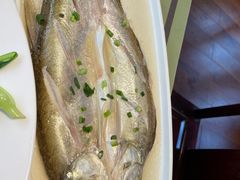 清蒸白丝鱼-沈厅酒家(周庄店)