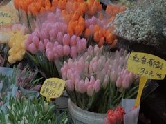 -循礼门鲜花花市(武汉循礼门店)