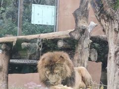 -石家庄市动物园