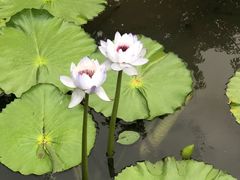-云溪植物园