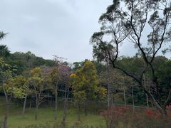 -广州市白云山风景名胜区