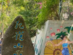 -西双版纳原始森林公园