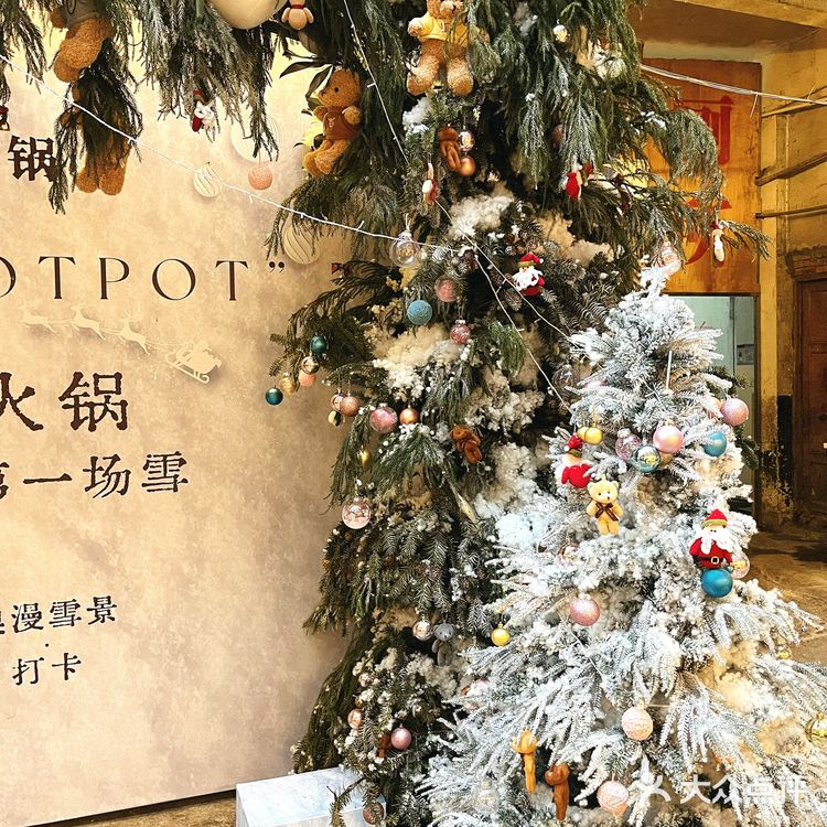 豌豆尖尖一定要吃红汤｜罗二下雪❄️了｜团购真划算