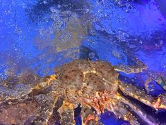 -永辉超市(龙潭寺店)