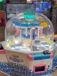 -卡通尼·Safari非洲探索乐园·生日会(金桥国际商业广场店)