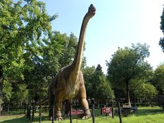 -金钉子远古世界景区