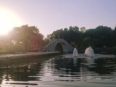 -金砂公园