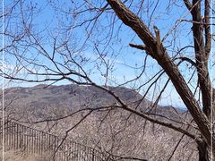 -妙峰山风景名胜区