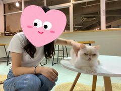 -Heymao猫咖.咖啡厅(东门店)
