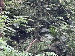 -七仙岭温泉国家森林公园
