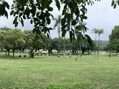 -东莞植物园