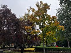-莲花池公园