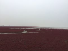 -红海滩国家风景廊道