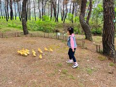 -Club Med地中海俱乐部·桂林度假村