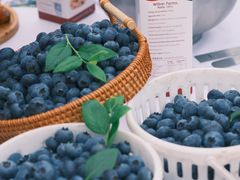 -菲尔雪CAKE(九方店)