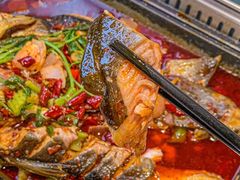 -黑猫馋纸包鱼(阳光店)