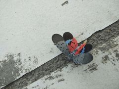 -天津包子铺·海鲜家常菜(北戴河店)