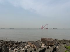 -上海滨江森林公园