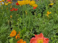 -共青国家森林公园-售票处