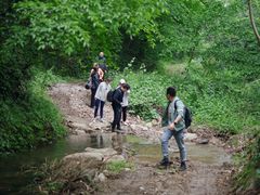 -素山寺森林公园