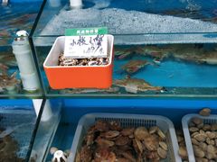 -港畔赶海蒸汽海鲜烧烤自助(仙螺岛店)