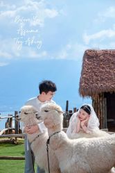 点击看大图 -太古映画婚纱摄影(天河店)