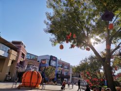 -Early Rider 儿童自行车(蓝色港湾店)