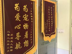 -艾吉宠物医院·疑难杂症转诊中心·猫友好(碧江路院)