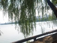 -艾溪湖湿地公园