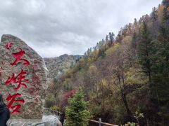 -凤凰山国家森林公园