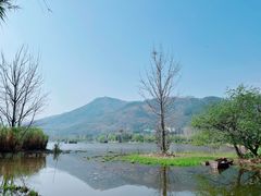 -西昌邛海湿地