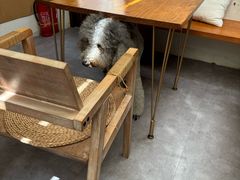 -沏点Trattoria意大利餐厅(新街口店)