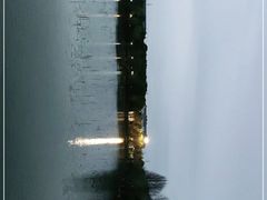 -紫薇公园