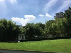 -复旦大学附属华山医院(浦东院区)