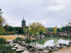 -苏州吴宫泛太平洋酒店